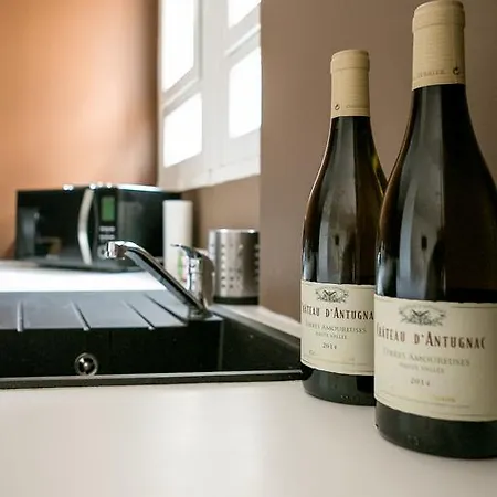 Apartamento Le Gustave Topdestination-dijon