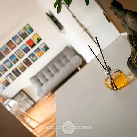 Apartman Le Gustave Topdestination-dijon